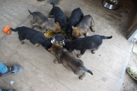 image (19).jpg